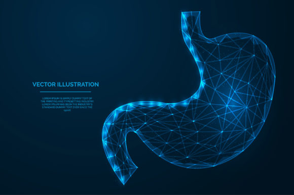 Download Stomach Low Polygonal Blue Wireframe - Polygon Collection